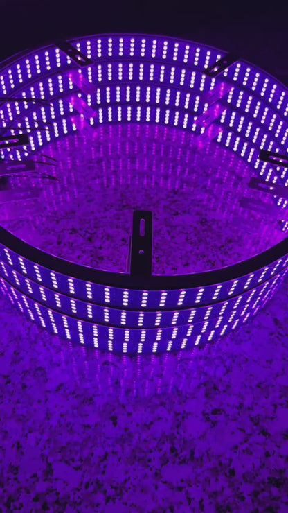 Shoreline Offroad Pro Series RGBIC LED Wheel Lights